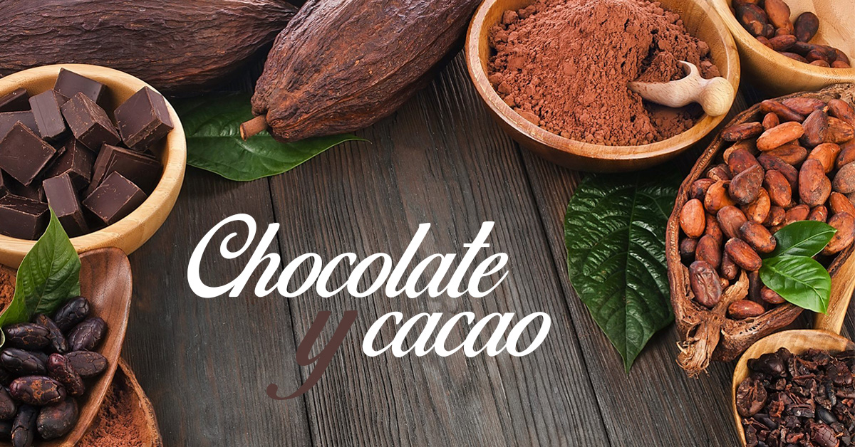 Curiosidades sobre el cacao y el chocolate en las especialidades sin gluten de Proceli